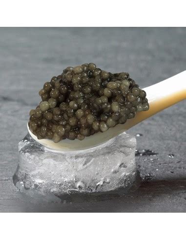 beluga caviar buy online.